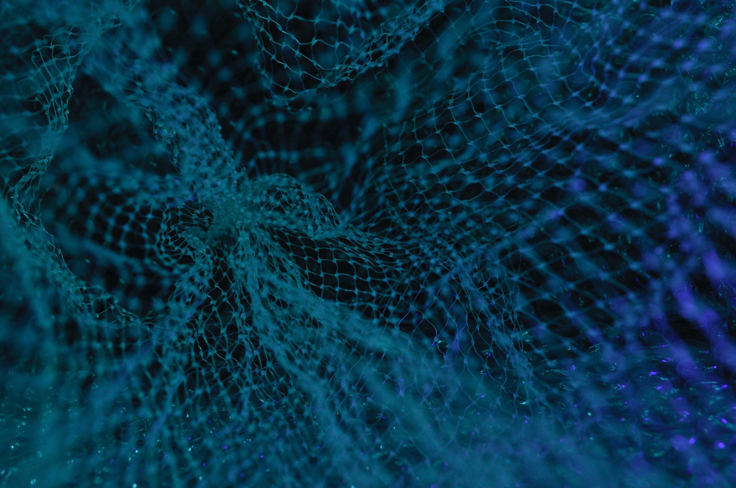 abstract photo of connected net