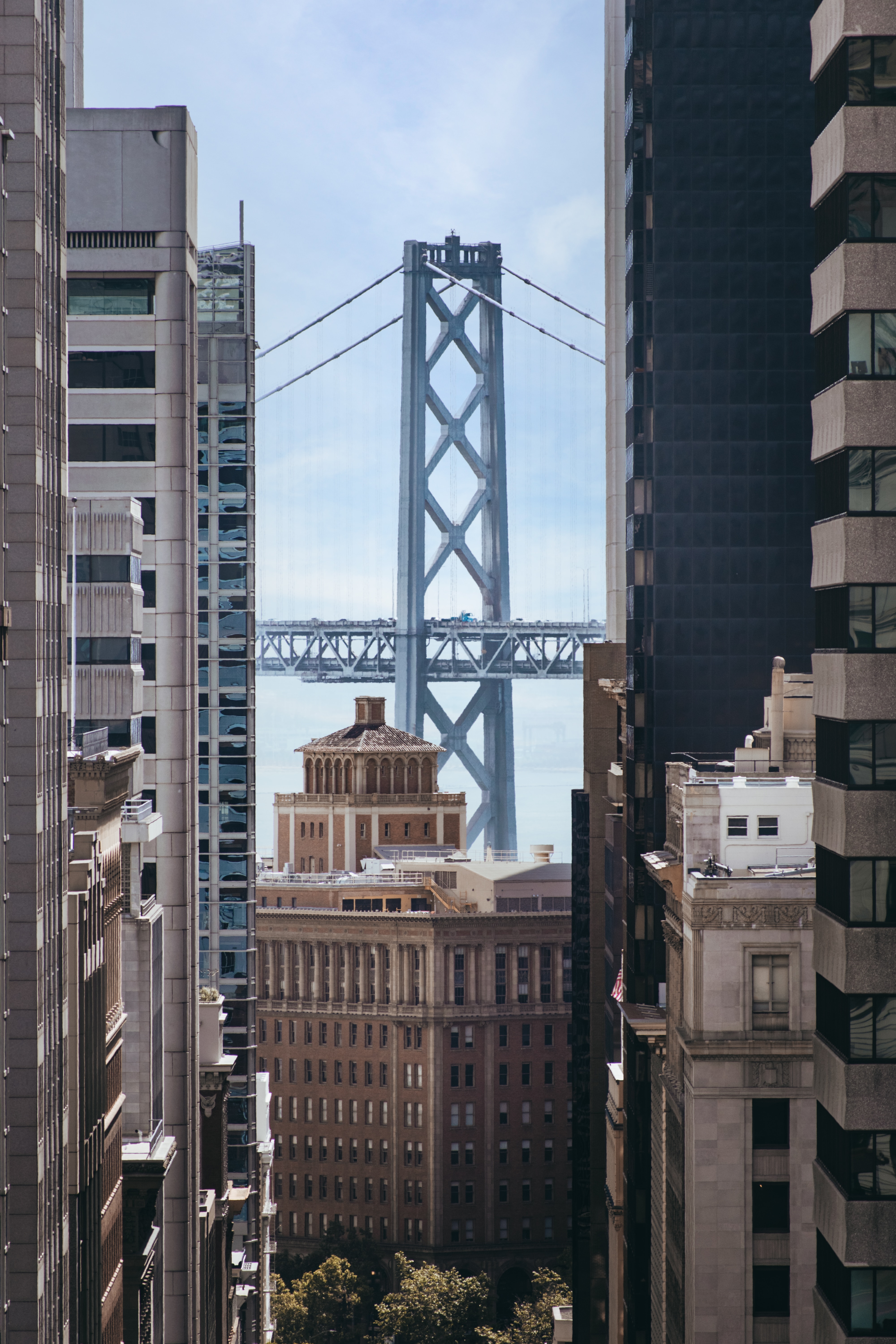 Shot of the Bay Bridge